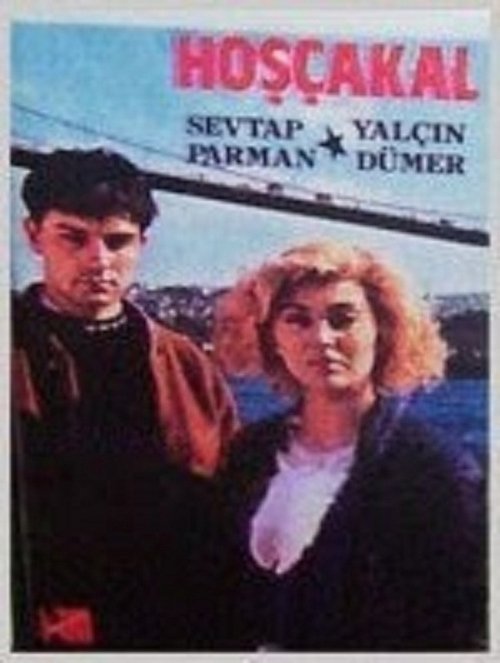 Hoşçakal poster