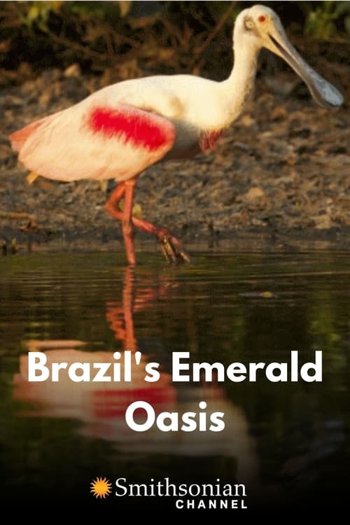 Brazil's Emerald Oasis (2020)