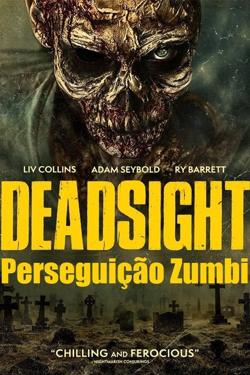 Pôster de Perseguição Zumbi