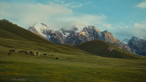 Tales from the Road | Exploring Kyrgyzstan & Uzbekistan