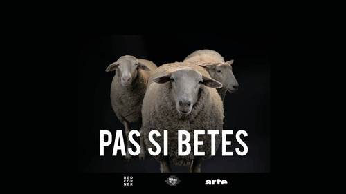 Pas si bêtes! — Fondos 2