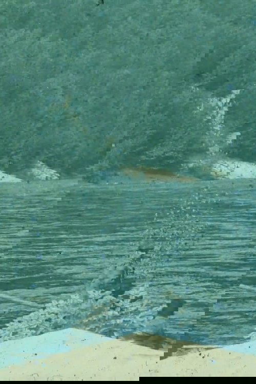 Midsummer Currents