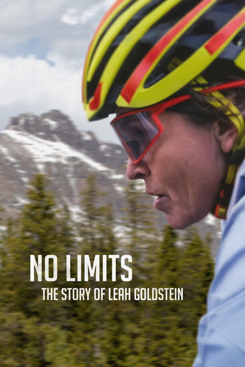 No Limits: The Story of Leah Goldstein poster