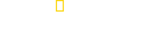 Limitless: Live Better Now