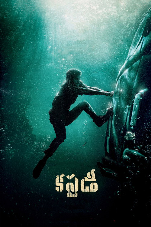Custody poster