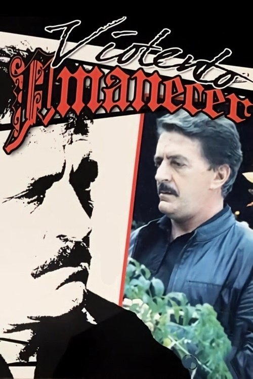 Violento amanecer (1991) poster