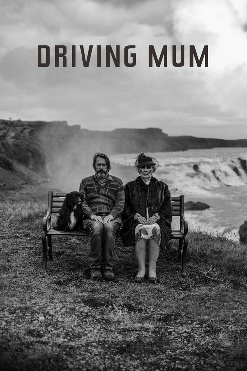 Driving Mum poster