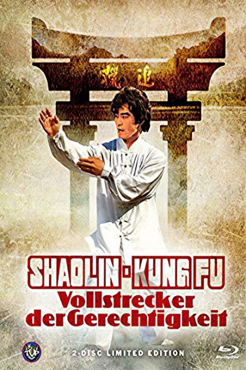 Shaolin Kung Fu Master poster