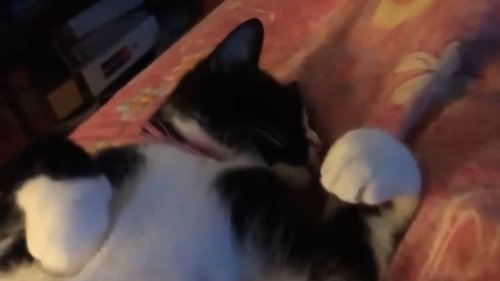 Image de l'épisode 84