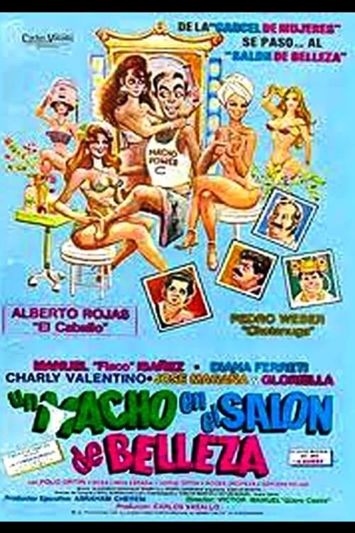 A Man in the Beauty Salon Movie Poster Image