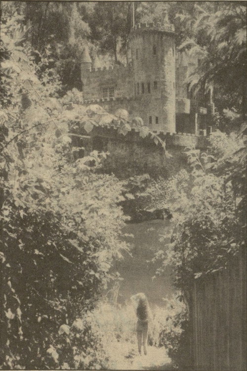 Jackie and the Beanstalk