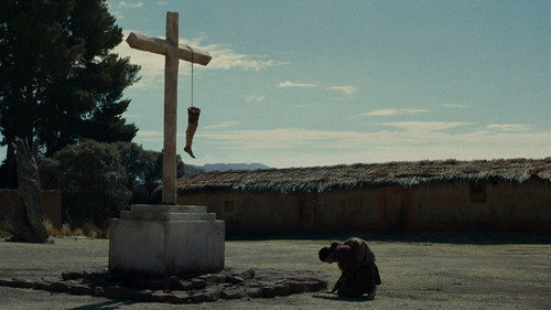 The Anatomy of the Horses