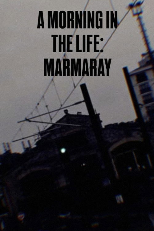 A Morning in the Life: Marmaray poster