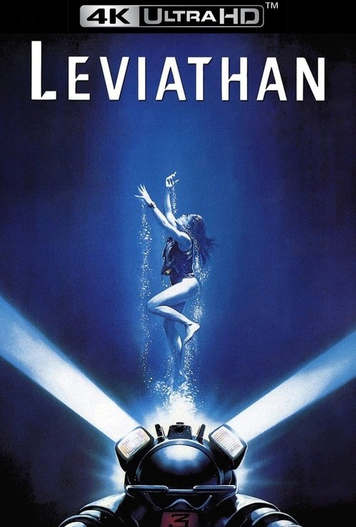 Poster 13