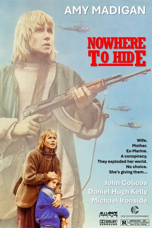 Nowhere to Hide poster