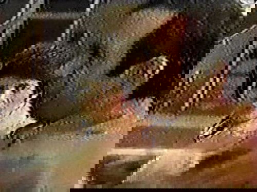 Image de l'épisode 24