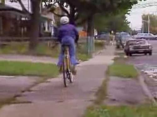 The Littlest Hobo, S02E11 - (1980)