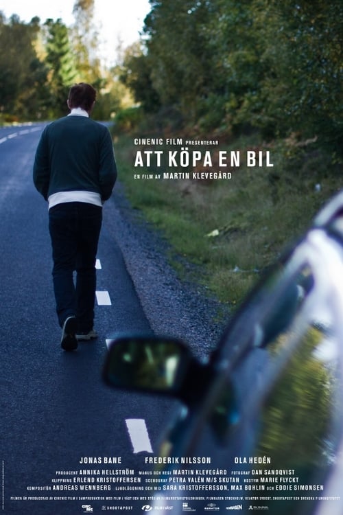 Att köpa en bil 2011