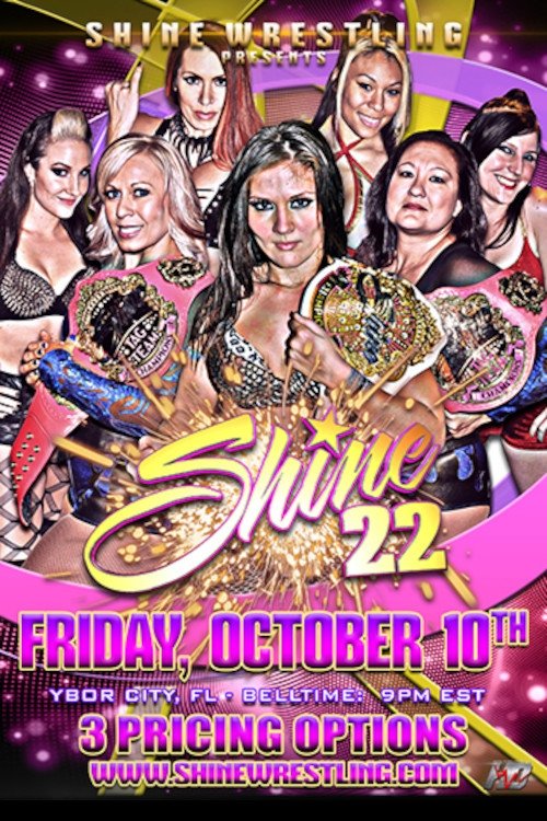 SHINE 22 (2014) poster
