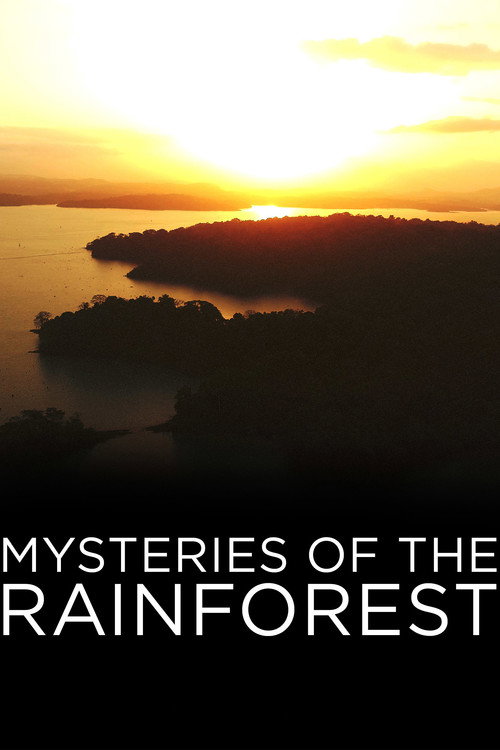 Mysteries of the Rainforest