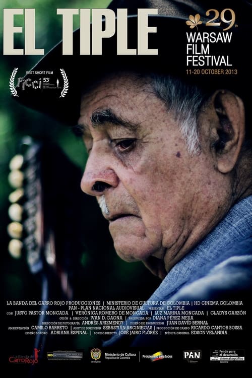 El Tiple (2013) poster