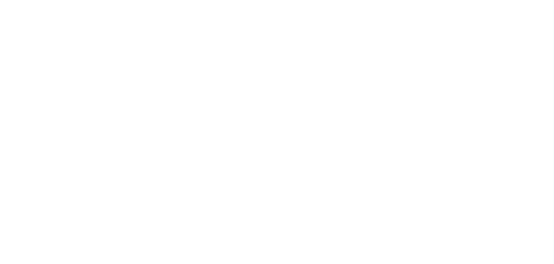 The Cleaning Lady