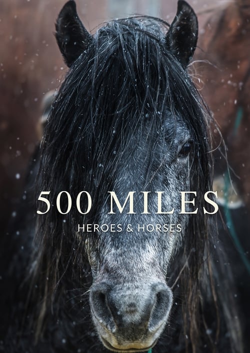 500 Miles - The Story of Ranchers and Horses movie poster player