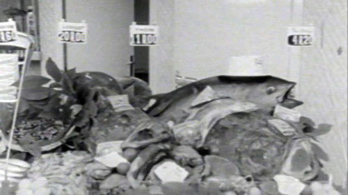 International Operations