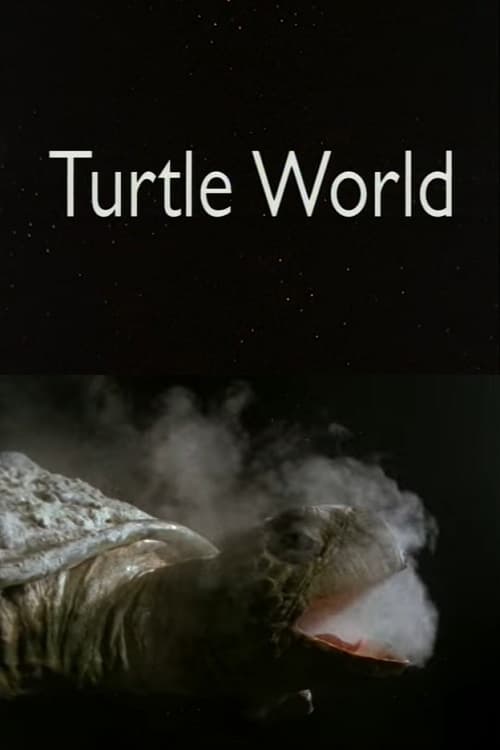 Turtle World (1997) poster