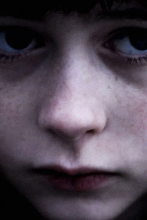 Pigeons Should Fly Freely In the Sky poster