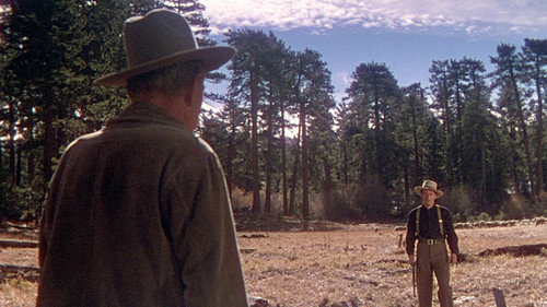 The Shepherd of the Hills