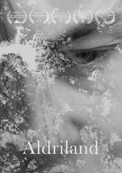 Poster Aldriland 2017