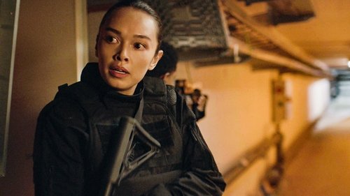 FBI: Internacional: 4×2