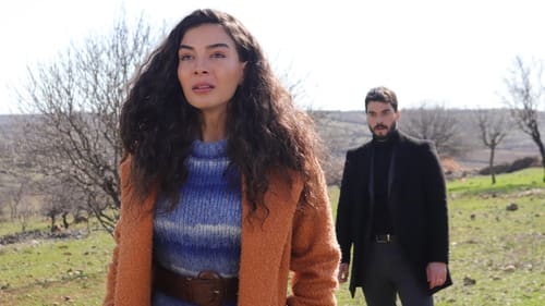 Poster della serie Hercai