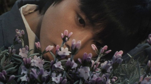 The Girl Who Leapt Through Time