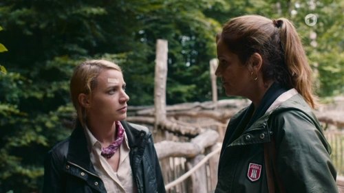 Image de l'épisode 4