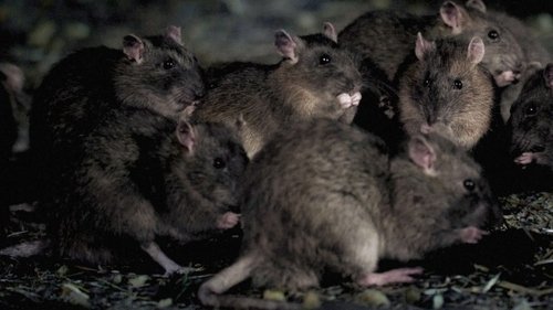 Image de l'épisode 4