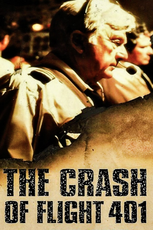 The Crash of Flight 401