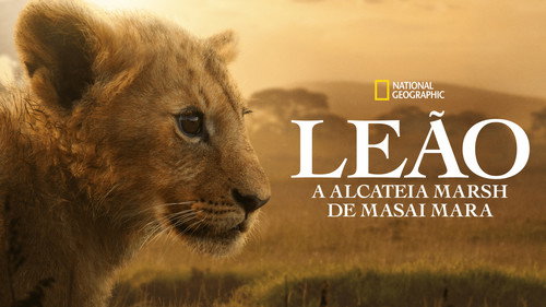 Leão: A Alcateia Marsh de Masai Mara