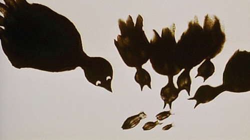 The Owl Who Married a Goose: An Eskimo Legend Bild 2