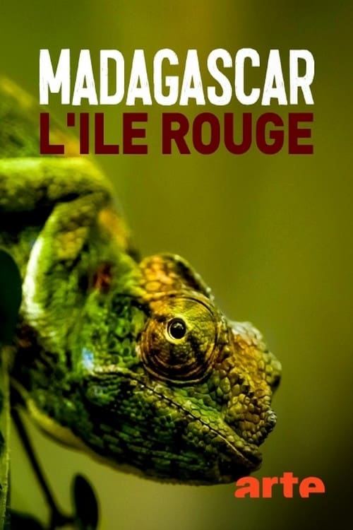 Madagascar, l'île rouge : La jungle des lémuriens 2020