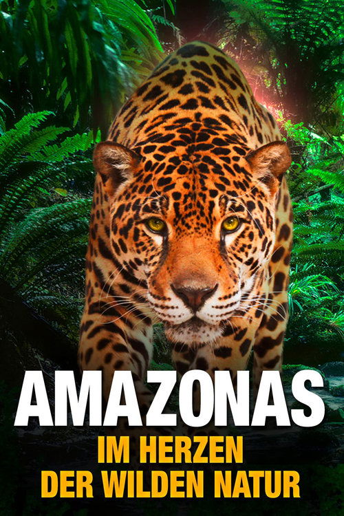 AMAZON 3D (2013)