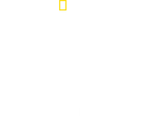 Tucci in Italy logo