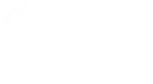 Confidential Agent
