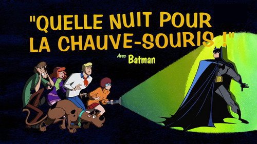 Image Quelle nuit pour la chauve-souris !