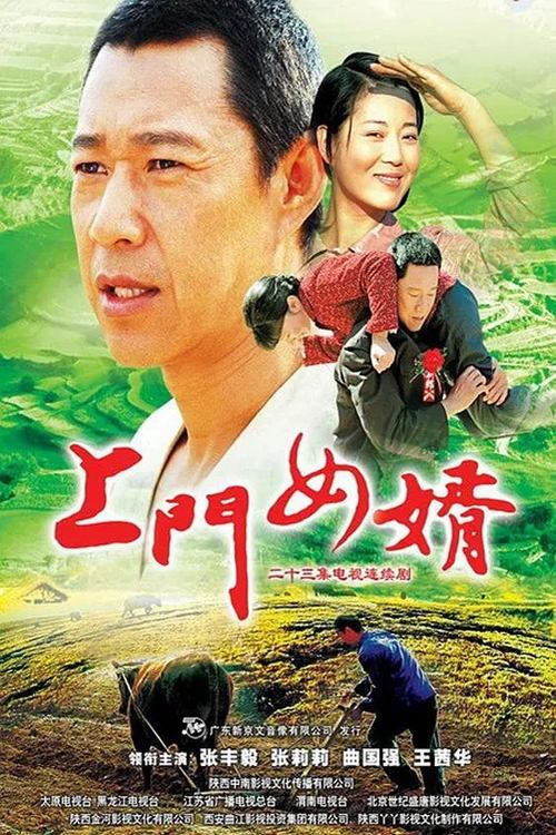 上门女婿 (2007)