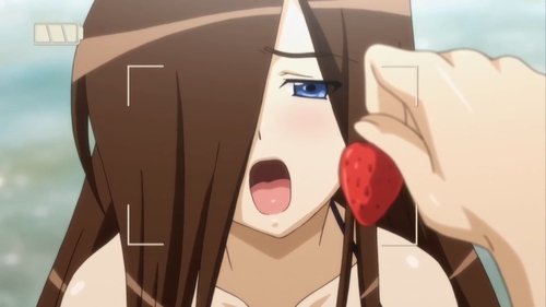 15 Bishoujo Hyouryuuki