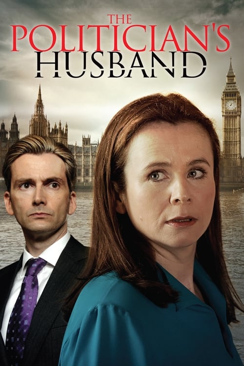 Where to stream The Politician's Husband Season 1