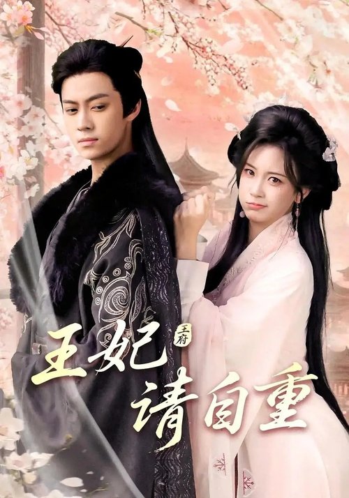 王妃请自重 (2025) poster