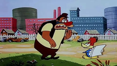 Poster della serie The Woody Woodpecker Show